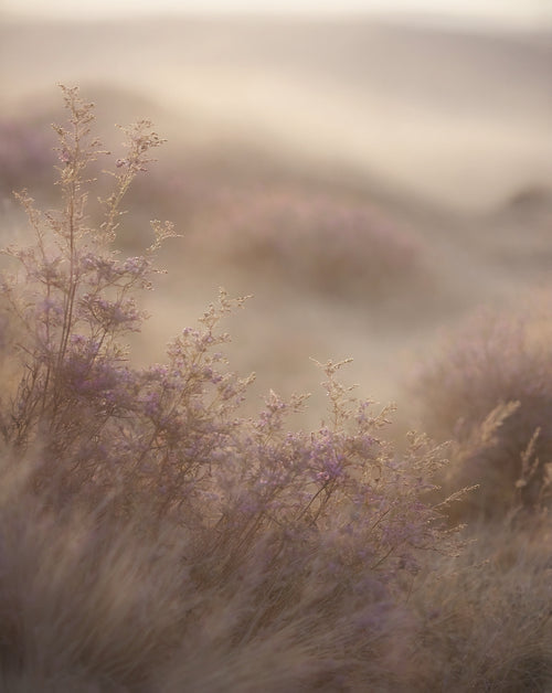 No. 180 | Inspired by Mojave Ghost | 50 ml