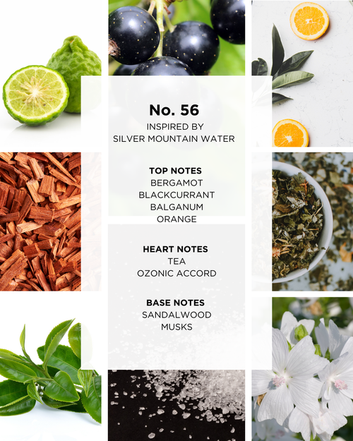 No. 56 | Inspired by Silver Mountain Water | 50 ml