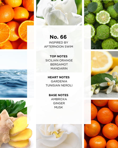 No. 66 | Inspired by Afternoon Swim | 50 ml