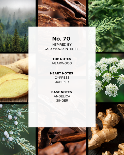 No. 70 | Inspired by Oud Wood Intense | 50 ml