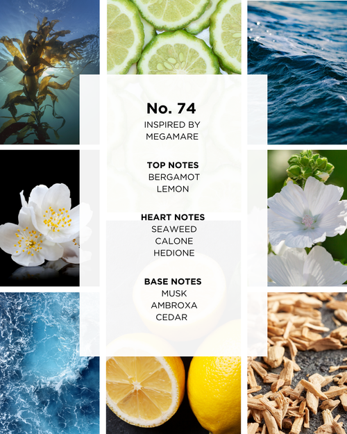 No. 74 | Megamare inspiroima | 50 ml